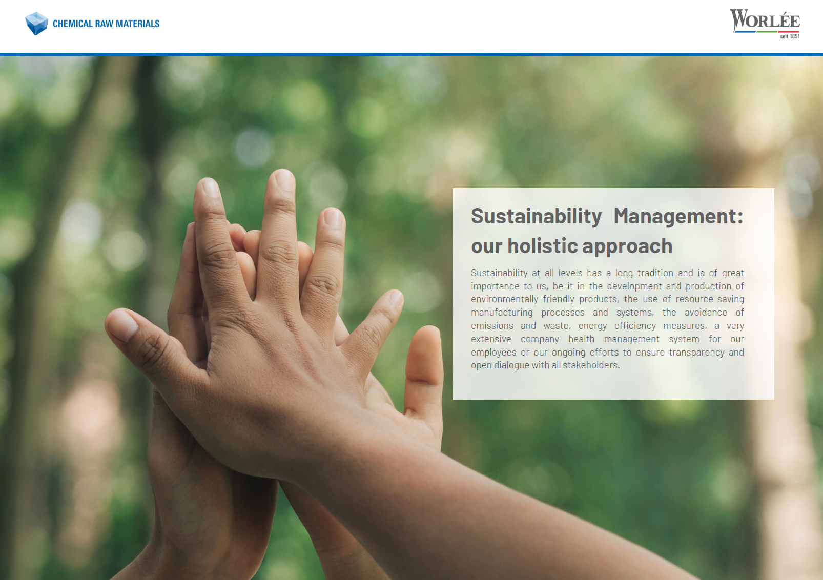 Sustainability Management Flyer